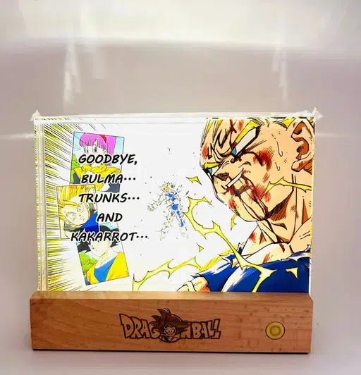 Acrylique Dragon Ball